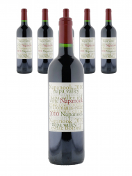 纳帕努克多明纳斯葡萄酒 2010 - 6瓶