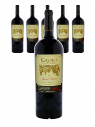 Caymus Special Selection Cabernet Sauvignon 2017 1500ml - 6bots