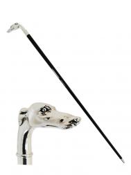 Pasotti Cane Greyhound Head W39