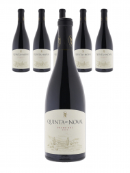 Quinta Do Noval Tinto 2007 ex-winery - 6bots