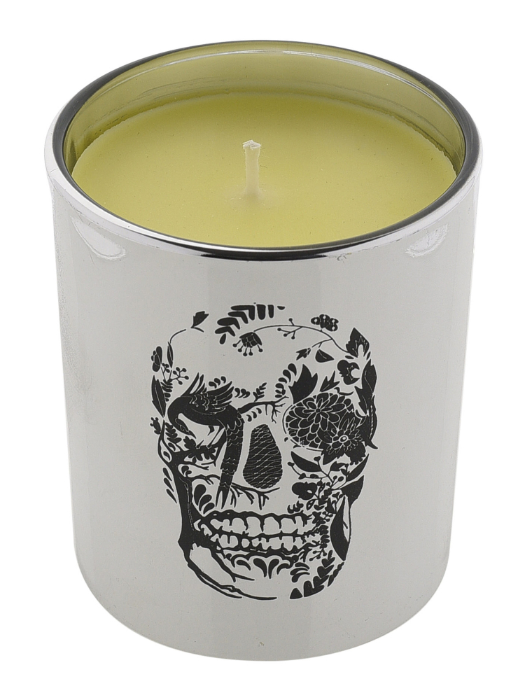 Modern Alchemy Candle 9130 Metallic Tumbler Silver Delft Skull