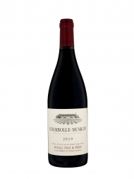 Dujac Fils & Pere Chambolle Musigny 2019