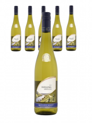 Moselland Riesling Spatlese 2019 - 6bots