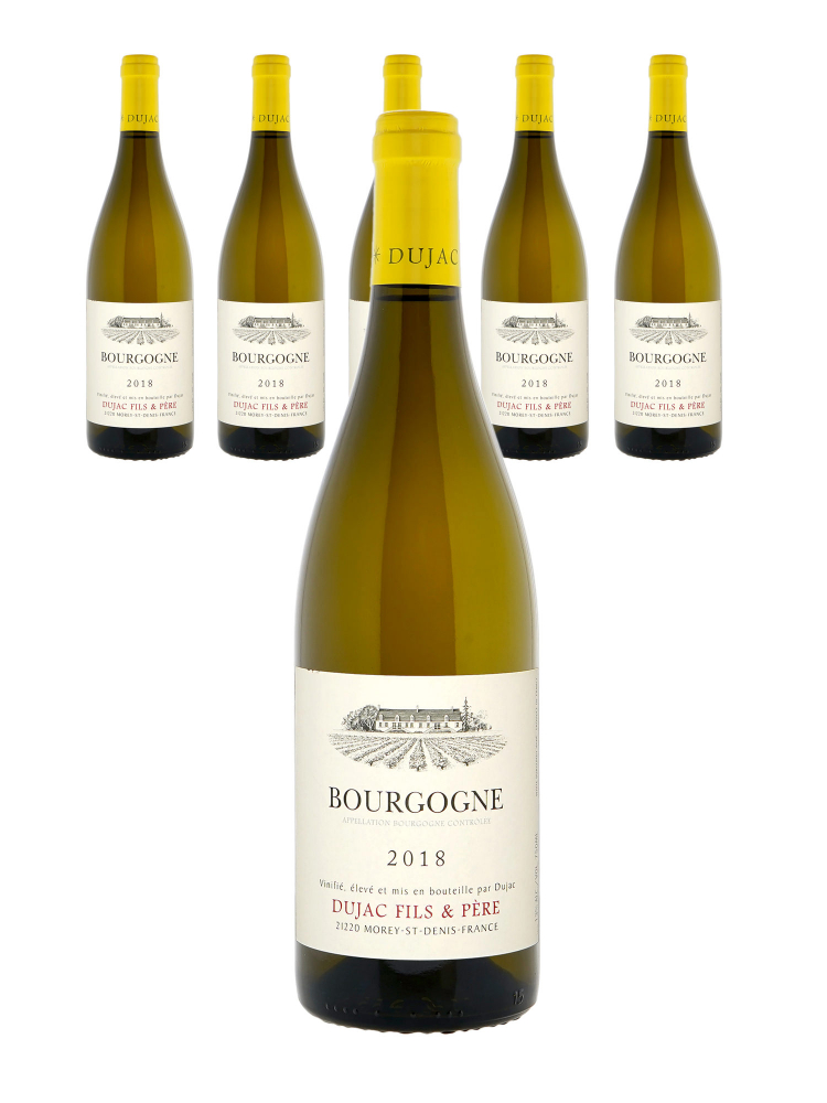 Dujac Fils & Pere Bourgogne Blanc 2018 - 6bots