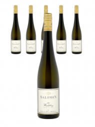 Salomon Ried Wachtberg Premier Gruner Veltliner 2019 - 6瓶